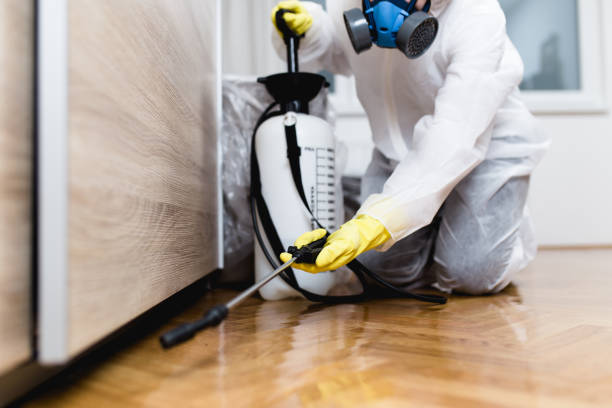 Trusted La Puebla, NM Pest Control Experts