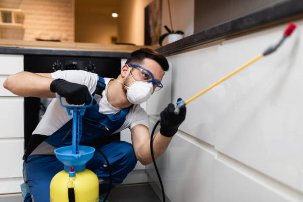 Best Commercial Pest Control Services  in La Puebla, NM