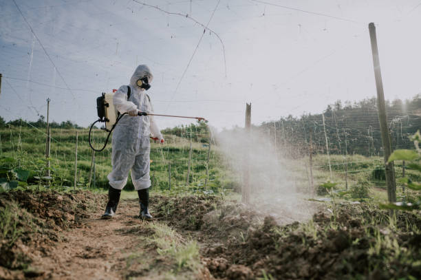 Best Mosquito Control Services  in La Puebla, NM