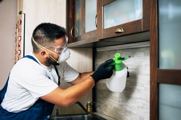 Best Cockroach Control Services  in La Puebla, NM