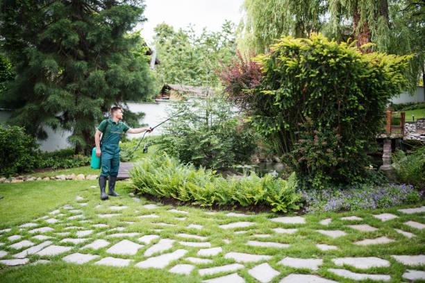 Best Affordable Pest Control Services  in La Puebla, NM