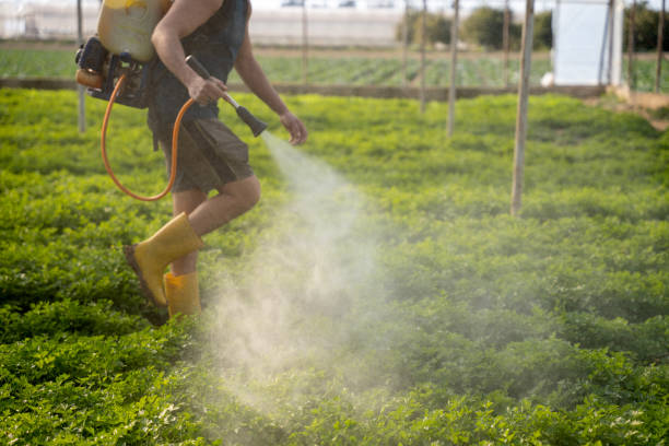 Best Best Pest Control Companies  in La Puebla, NM