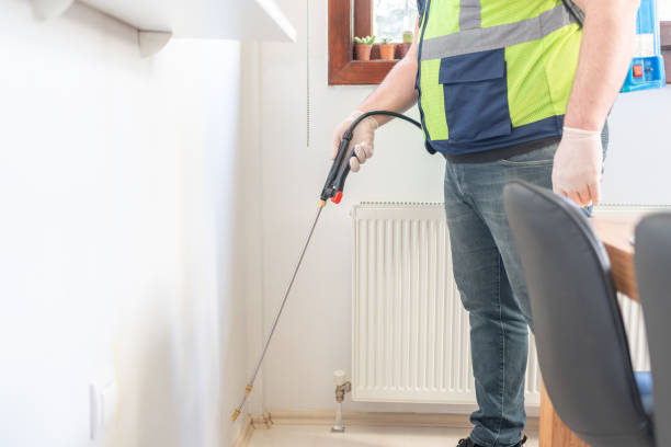 Best Flea Control Services  in La Puebla, NM