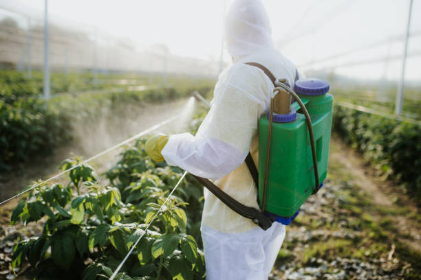 Best Bed Bug Extermination  in La Puebla, NM